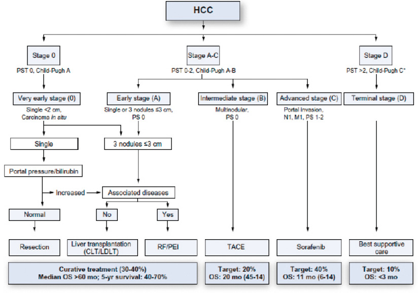 A flow chart showing the stages of HCC 