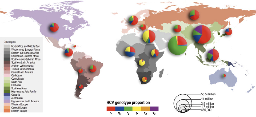 World map showing globl distribution of hepatitis B genotypes