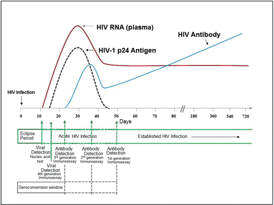 Figure 4: Line graph – Sequence of appearance of laboratory markers for HIV-1 infection