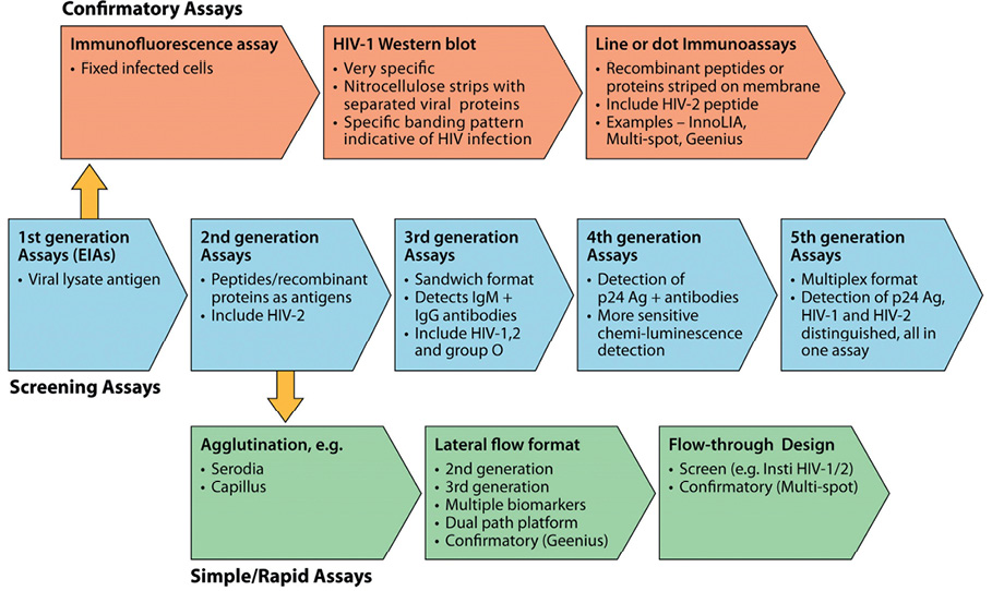 Figure 5: Flowchart – Generations of EIAs for primary HIV infection diagnosis.