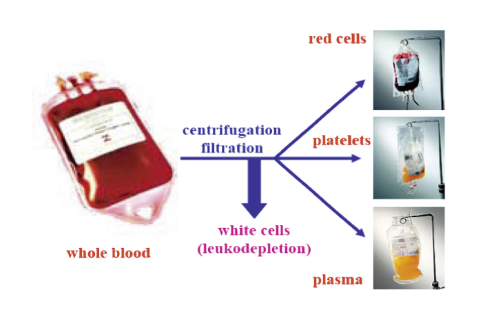 Figure 1: Blood separation into components for subsequent useThe whole blood is separated by centrifugation/filtration. The resulting components are 1) the upper phase, a clear yellow solution (plasma) at the bottom in the figure, 2) a thin layer (buffy coat) containing the platelets, after leukodepletion (removal of white cells), 3) erythrocytes (red blood cells). In the plasmapheresis process, the cells and platelets are returned to the donor.