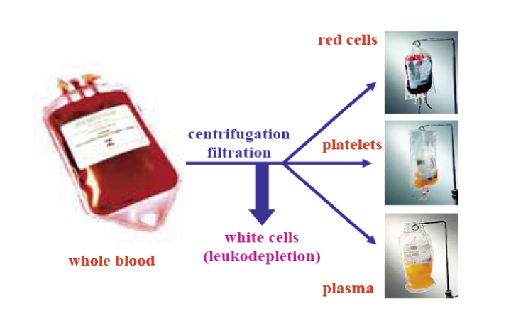 Expert Report to the Infected Blood Inquiry: Fractionation